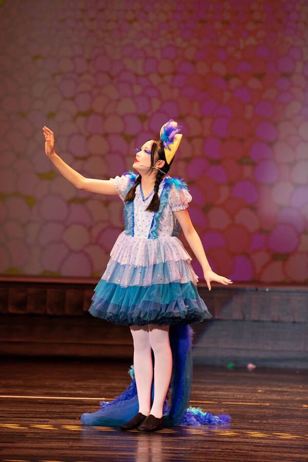 Seussical the Musical Jr.,Hiba Academy Hangzhou