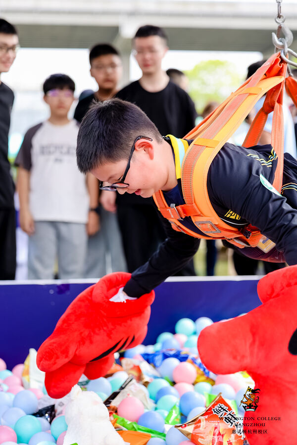 2024 Wellington College Hangzhou Summer Carnival,Hiba Academy Hangzhou