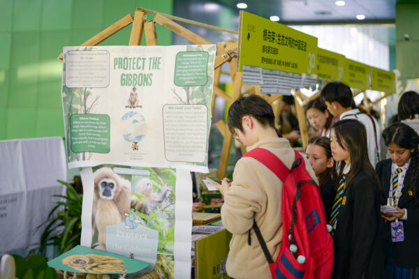 Roots & Shoots,Hiba Academy Hangzhou