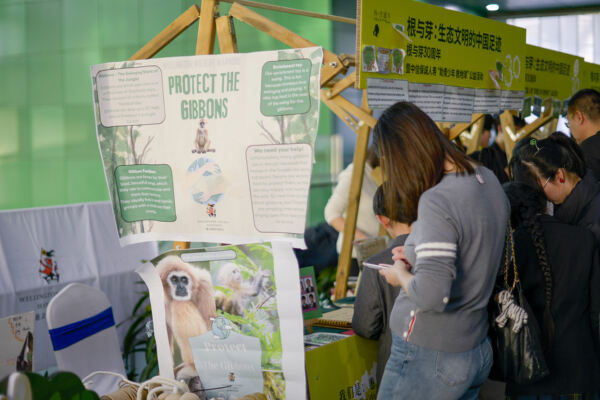 Roots & Shoots,Hiba Academy Hangzhou
