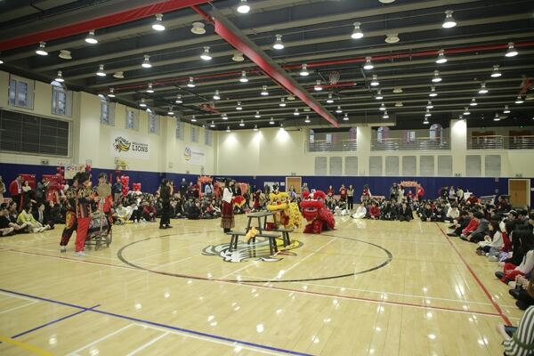 Spring Festival,Hiba Academy Hangzhou