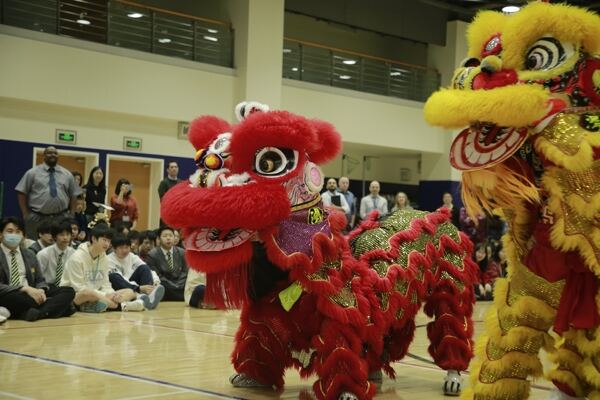 Spring Festival,Hiba Academy Hangzhou