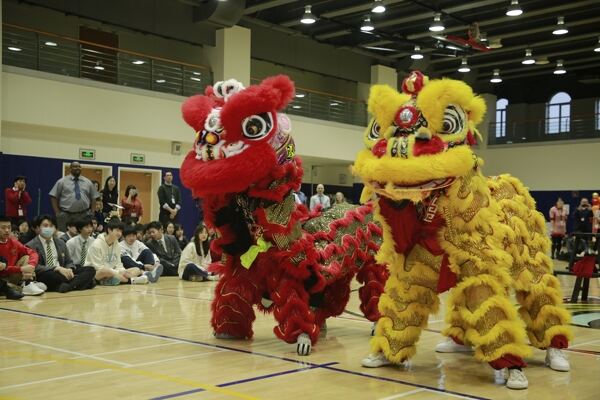 Spring Festival,Hiba Academy Hangzhou