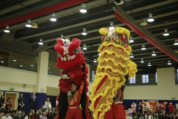Spring Festival,Hiba Academy Hangzhou