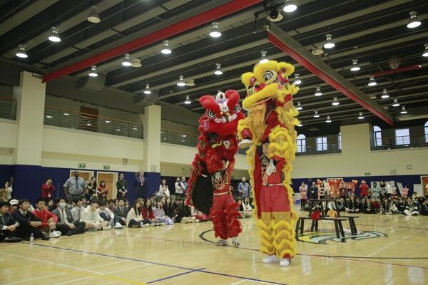 Spring Festival,Hiba Academy Hangzhou