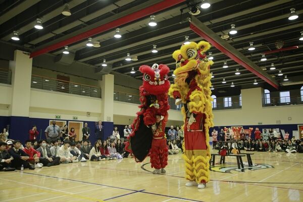 Spring Festival,Hiba Academy Hangzhou