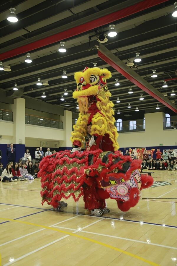 Spring Festival,Hiba Academy Hangzhou