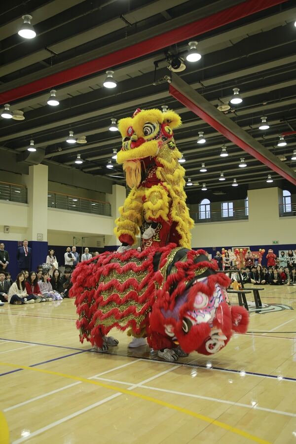 Spring Festival,Hiba Academy Hangzhou