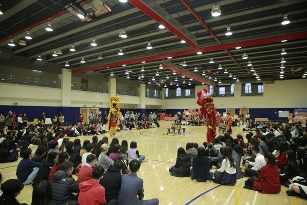 Spring Festival,Hiba Academy Hangzhou