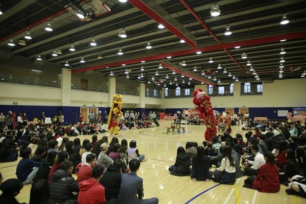 Spring Festival,Hiba Academy Hangzhou