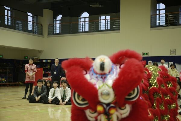 Spring Festival,Hiba Academy Hangzhou