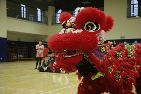 Spring Festival,Hiba Academy Hangzhou