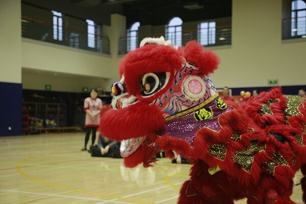 Spring Festival,Hiba Academy Hangzhou