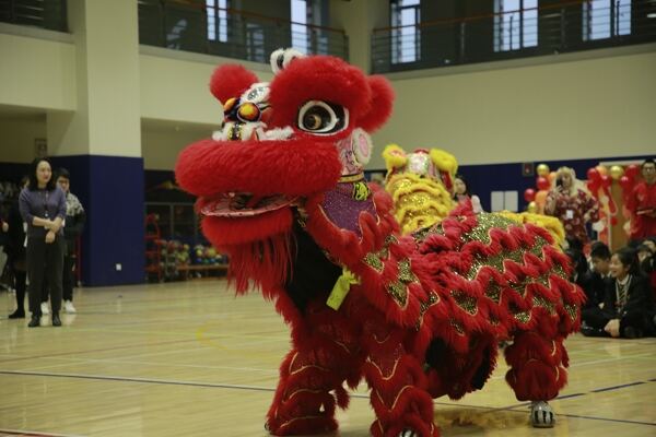 Spring Festival,Hiba Academy Hangzhou