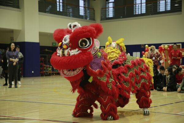 Spring Festival,Hiba Academy Hangzhou