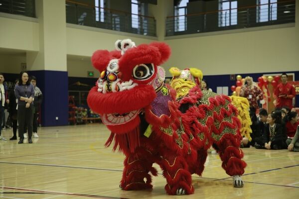 Spring Festival,Hiba Academy Hangzhou