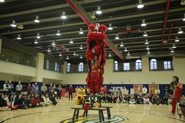 Spring Festival,Hiba Academy Hangzhou
