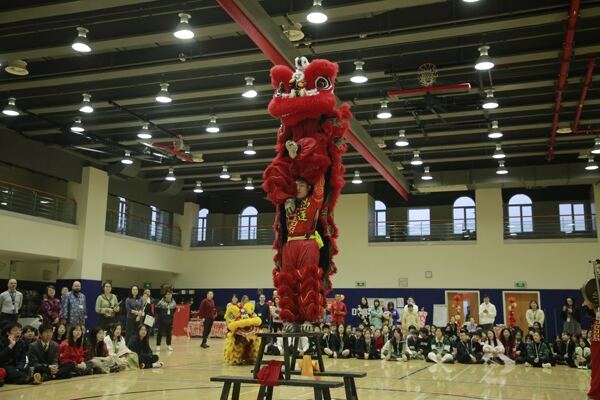 Spring Festival,Hiba Academy Hangzhou