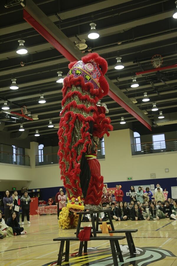 Spring Festival,Hiba Academy Hangzhou