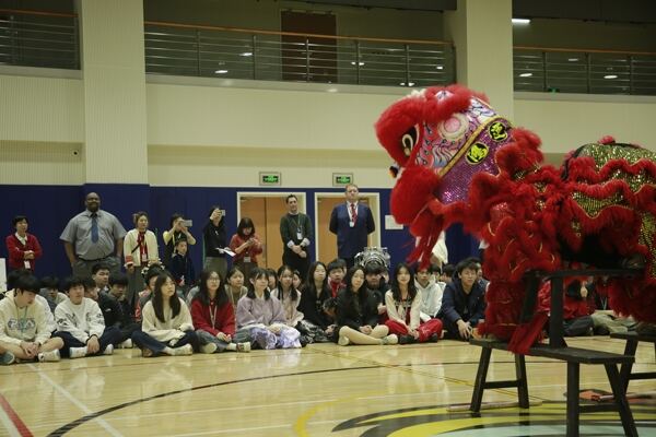 Spring Festival,Hiba Academy Hangzhou