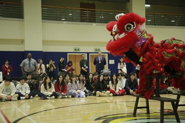 Spring Festival,Hiba Academy Hangzhou