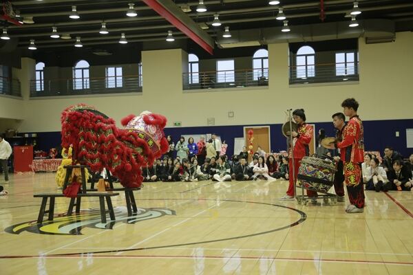 Spring Festival,Hiba Academy Hangzhou