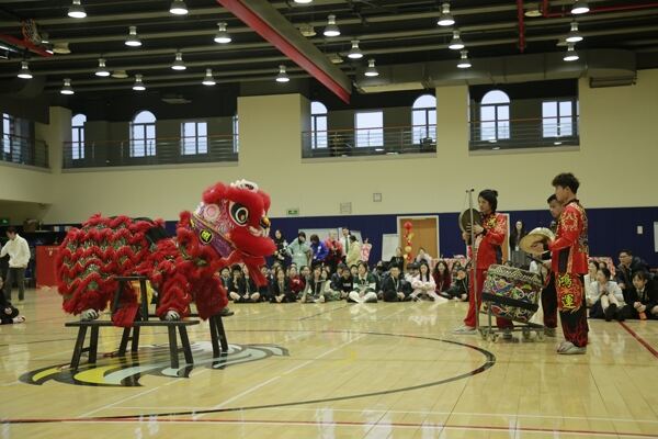 Spring Festival,Hiba Academy Hangzhou