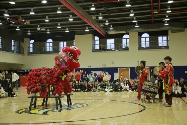 Spring Festival,Hiba Academy Hangzhou