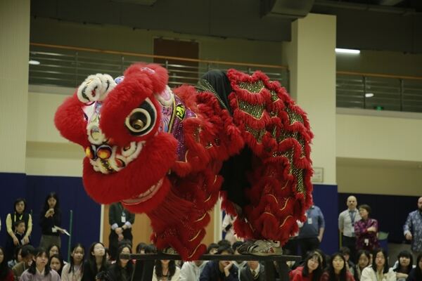 Spring Festival,Hiba Academy Hangzhou