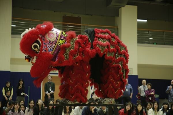 Spring Festival,Hiba Academy Hangzhou