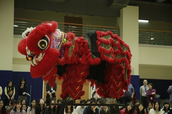 Spring Festival,Hiba Academy Hangzhou
