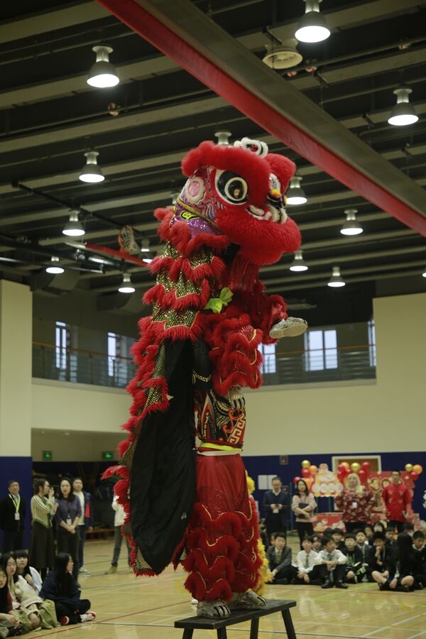 Spring Festival,Hiba Academy Hangzhou