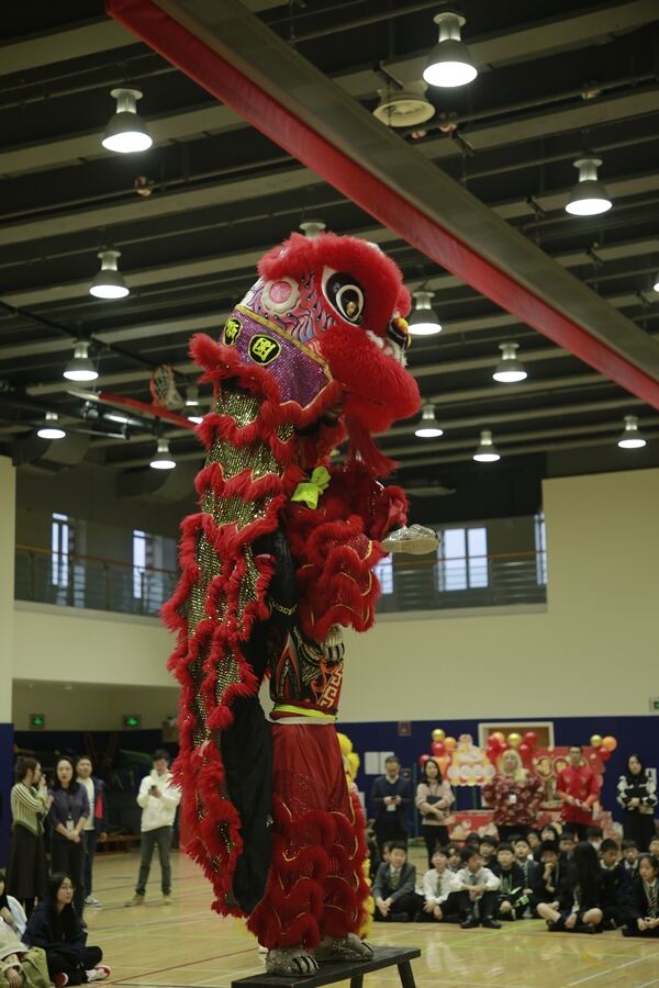 Spring Festival,Hiba Academy Hangzhou