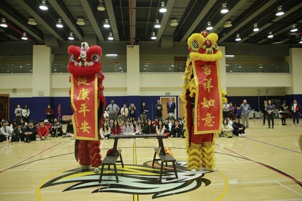 Spring Festival,Hiba Academy Hangzhou