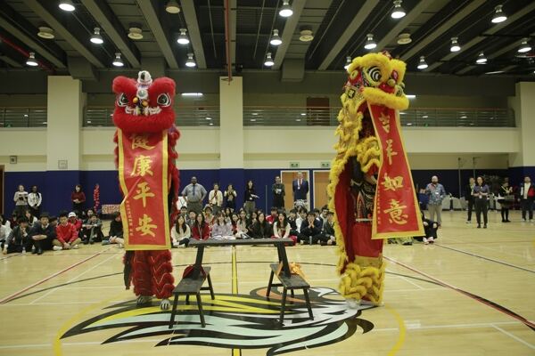 Spring Festival,Hiba Academy Hangzhou