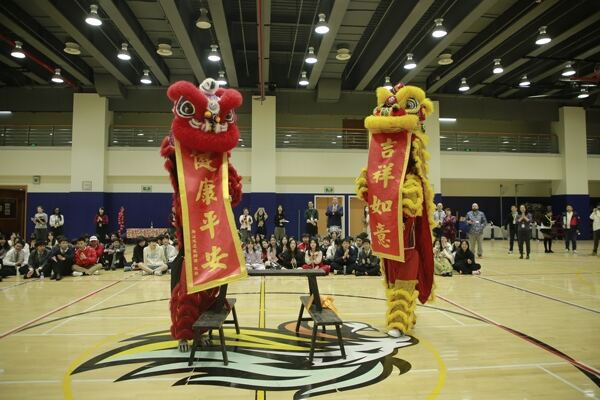 Spring Festival,Hiba Academy Hangzhou