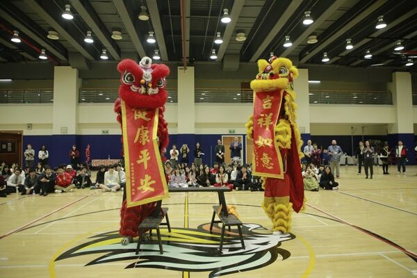 Spring Festival,Hiba Academy Hangzhou