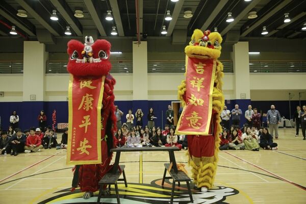 Spring Festival,Hiba Academy Hangzhou