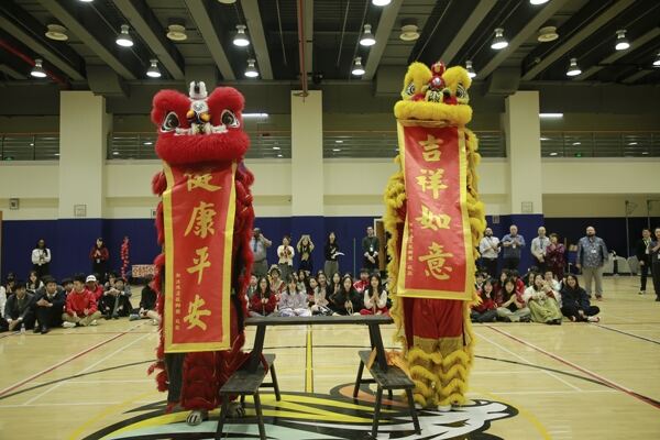 Spring Festival,Hiba Academy Hangzhou