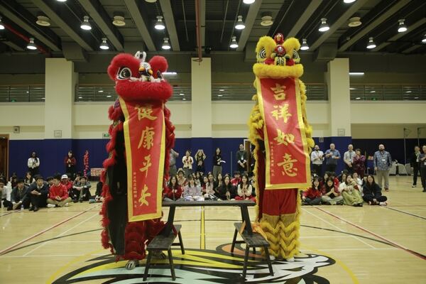 Spring Festival,Hiba Academy Hangzhou