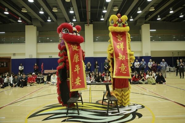Spring Festival,Hiba Academy Hangzhou