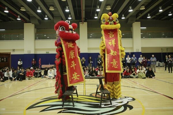 Spring Festival,Hiba Academy Hangzhou