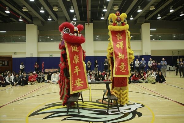 Spring Festival,Hiba Academy Hangzhou