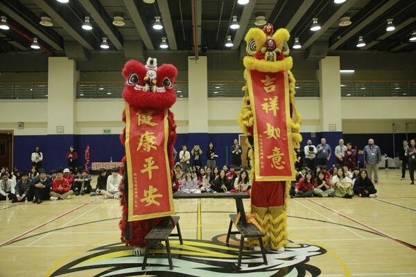 Spring Festival,Hiba Academy Hangzhou