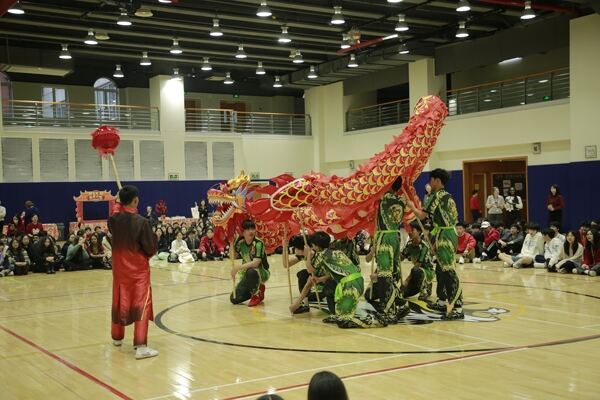 Spring Festival,Hiba Academy Hangzhou