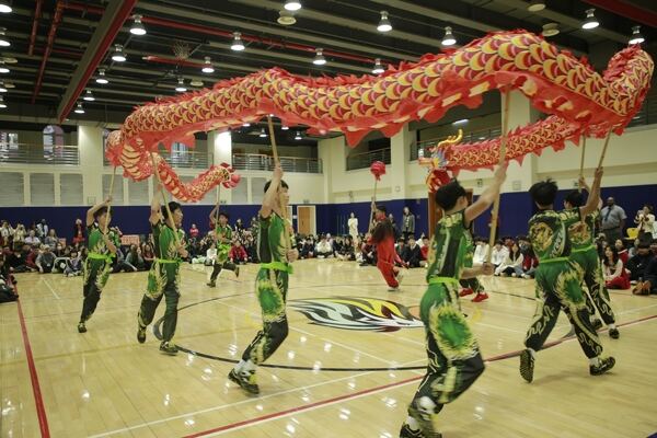 Spring Festival,Hiba Academy Hangzhou