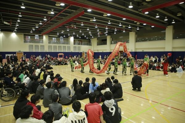 Spring Festival,Hiba Academy Hangzhou
