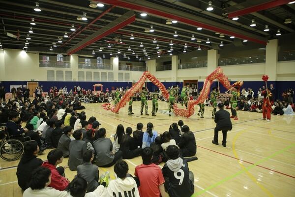 Spring Festival,Hiba Academy Hangzhou
