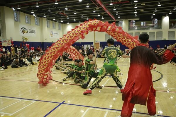 Spring Festival,Hiba Academy Hangzhou