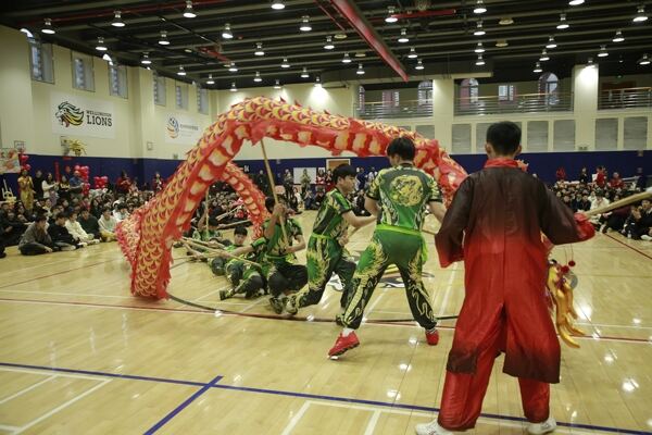 Spring Festival,Hiba Academy Hangzhou